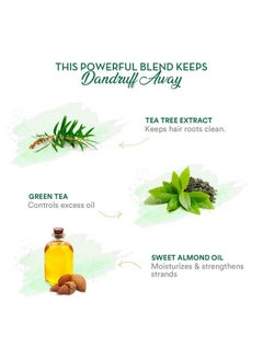 WOW Skin Science Green Tea & Tea Tree Anti-Dandruff Shampoo - No Sulphates, Parabens, Silicones, Color & Peg - 300 Ml  - Image 5