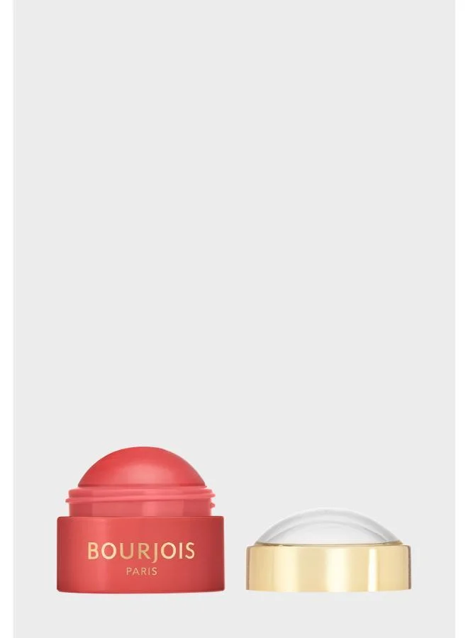 Bourjois Paris Little Round Pot Cream Blush - 03 - Berry, 8.5g