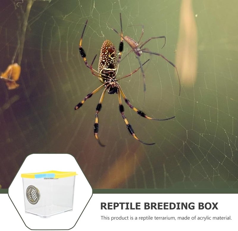 صندوق تربية الزواحف الشفاف حاوية التغيث للثعابين والعناكب والوزغ والسلاحف - Image 5