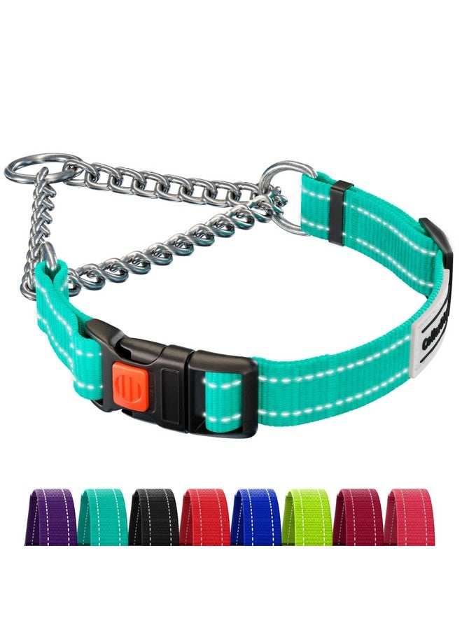 CollarDirect Martingale Dog Collar with Stainless Steel Chain and Quick Release Buckle - Reflective Collar for Large, Medium, Small Dogs - Mint Green, Large (Neck Size 17"-22") - Image 1