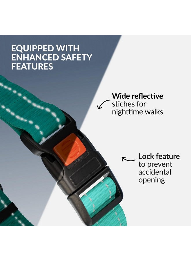 CollarDirect Martingale Dog Collar with Stainless Steel Chain and Quick Release Buckle - Reflective Collar for Large, Medium, Small Dogs - Mint Green, Large (Neck Size 17"-22") - Image 3