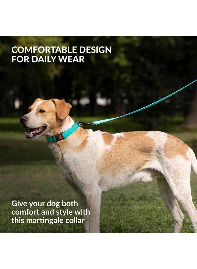 CollarDirect Martingale Dog Collar with Stainless Steel Chain and Quick Release Buckle - Reflective Collar for Large, Medium, Small Dogs - Mint Green, Large (Neck Size 17"-22") - Image 5