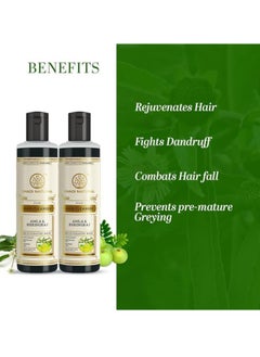 Khadi Natural Khadi Natural Amla & Bhringraj Hair Shampoo | Hair Cleanser with Natural Ingredients | Anti-Dandruff Shampoo | Anti-Hair Fall Shampoo | Shampoo for Nourishing Hair| Suitable for All Hair Types, 210 ml (Pack of 2)  - Image 2
