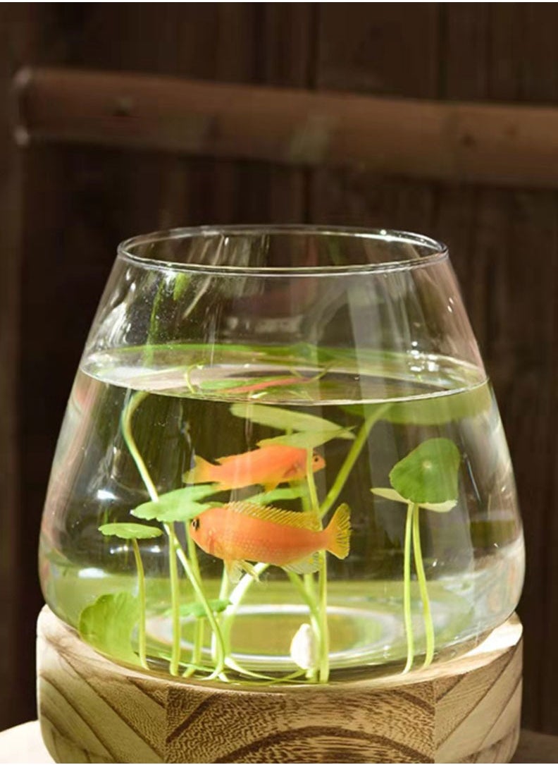 Generic Aquarium Terrarium glass tank wood base 15x15x10.5cm  - Image 4