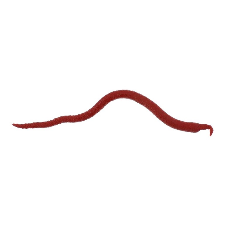 Berkley بيركلي جلب! دودة الدم المنفوخة، 1.2 أونصة، دموية - Image 5