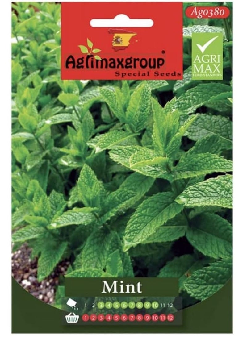 Agrimax Mint Premium Quality Seeds (Made in Spain) by LebenGroup - Image 1