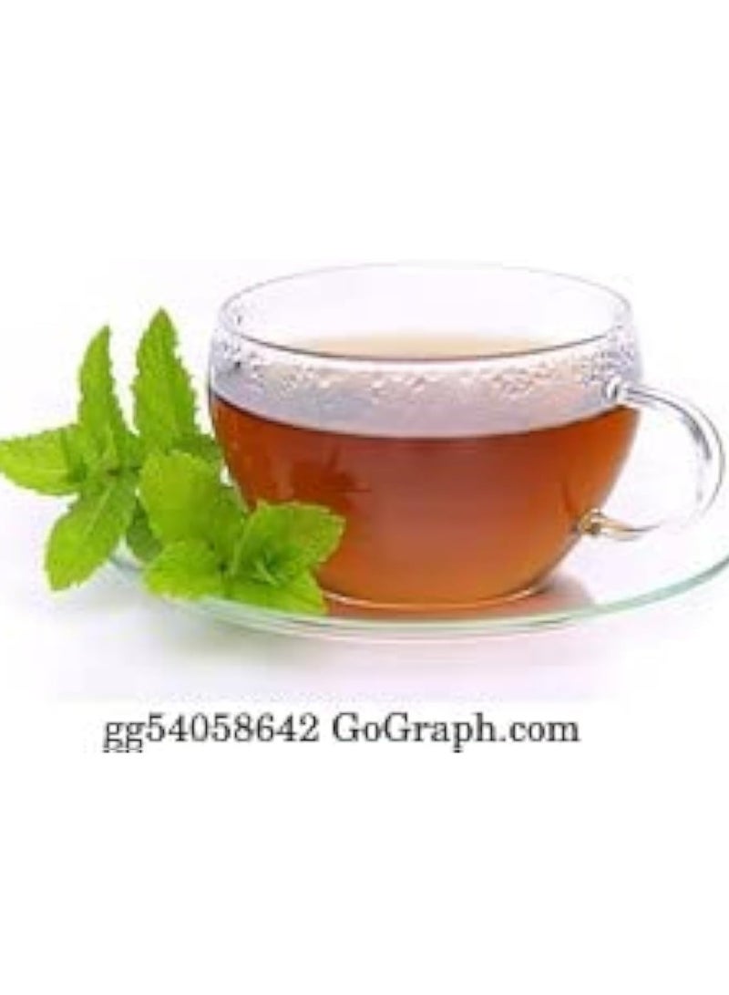 Agrimax Mint Premium Quality Seeds (Made in Spain) by LebenGroup - Image 3