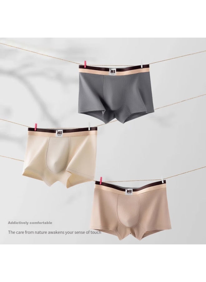 Me Feeling Men's Underwear, Summer Pure Cotton Breathable Boxer Briefs, Graphene Antibacterial Four-legs Shorts, Men's And Teenage Shorts - Image 4
