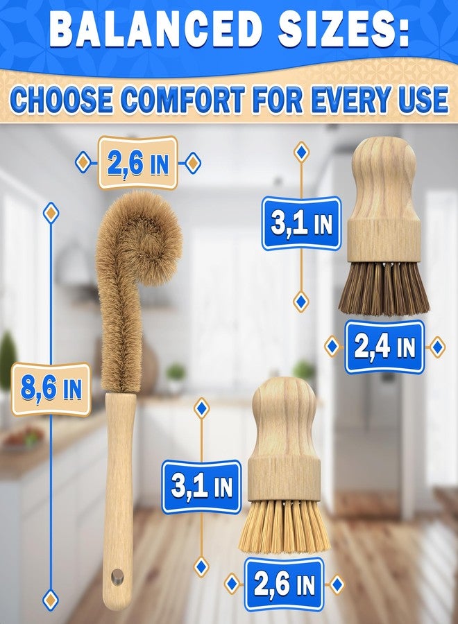 ZOKLU 5 Pcs Bamboo Dish Brush Set - Wooden Dish Brush with Ergonomic Handle for Scrubbing Pots and Pans - Durable, Scratch-Free Bristles for Effective Dishwashing & Easy Grip for Comfortable Use - Image 3