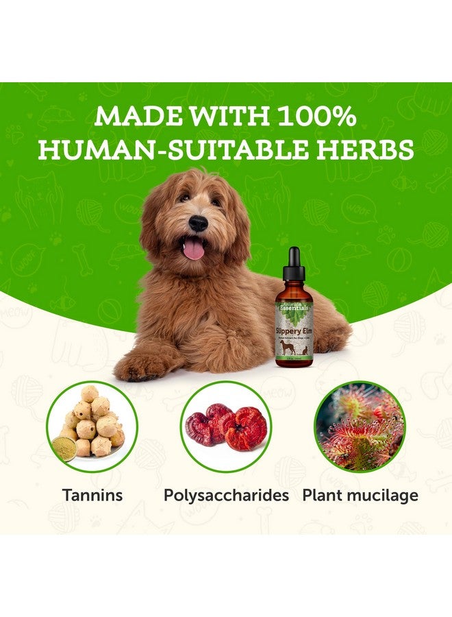 Animal Essentials Slippery Elm - Herbal Extract for Dogs and Cats, Promotes Healthy Digestion, Bowel Function, Certified Organic Herbs, All Natural, Respiratory Health, Liquid Formula - 1 Fl Oz - Image 4
