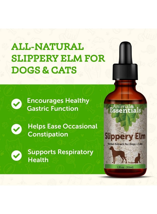 Animal Essentials Slippery Elm - Herbal Extract for Dogs and Cats, Promotes Healthy Digestion, Bowel Function, Certified Organic Herbs, All Natural, Respiratory Health, Liquid Formula - 1 Fl Oz - Image 3