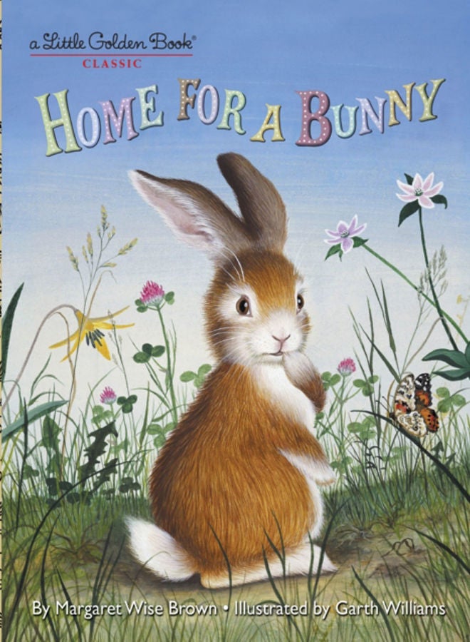 Home for a Bunny : A Bunny Book for Kids 