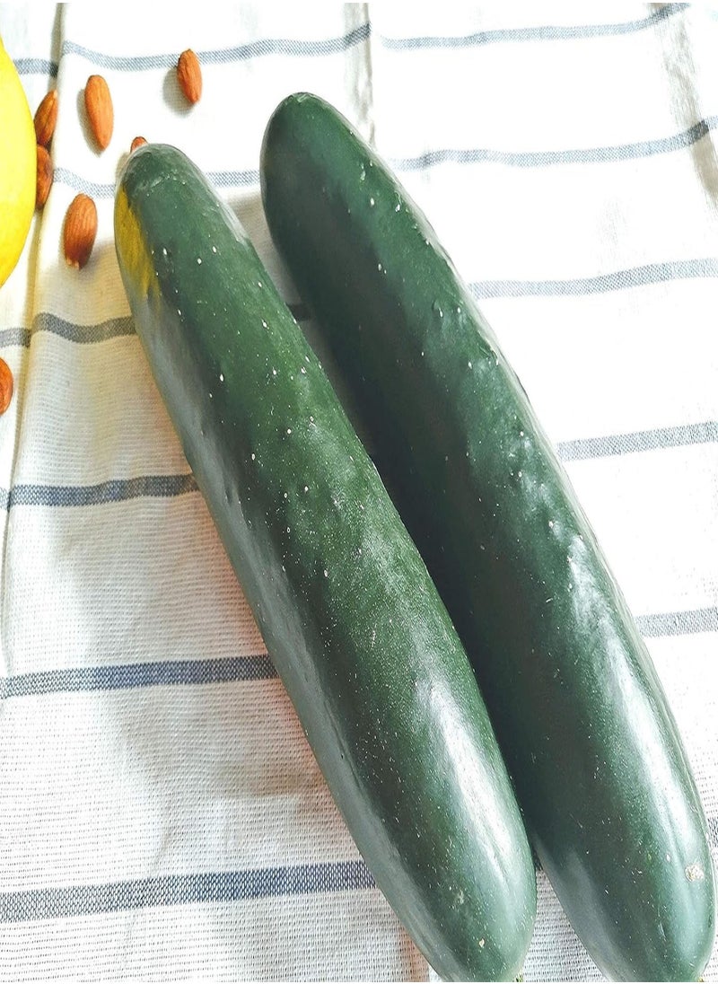 GGOOT - Marketmore 76 Open-pollinated Slicing Cucumber 50 Vegetable Seeds - Cucumis sativus Non-GMO, Classic Flavor & High Yield - Image 1