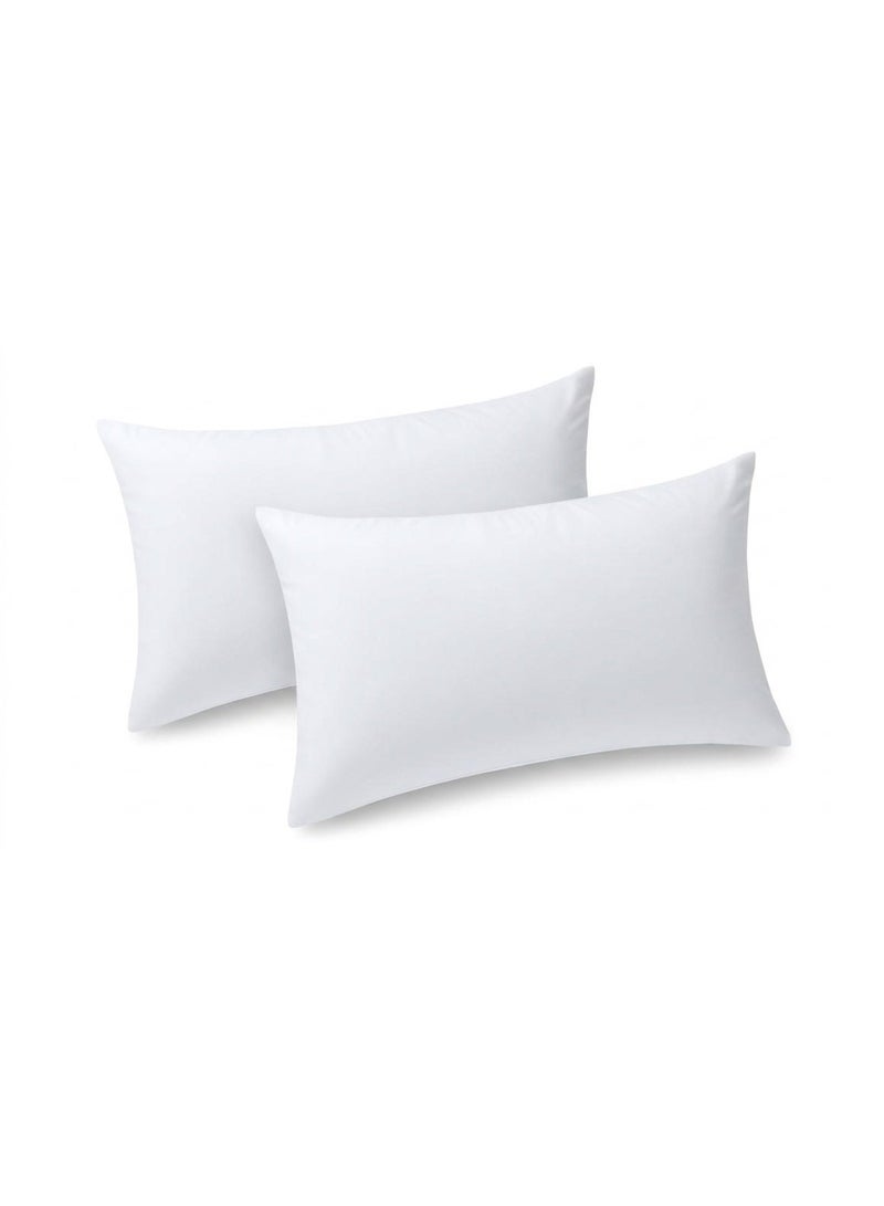 RISHAHOME 30x50cm Cushion Inner Pillow | 65 GSM Soft Fabric | 280g Fluffy Fiber Filling | 360g Decorative Cushion Insert for Sofa, Couch, Bed & Home Decor - Image 1