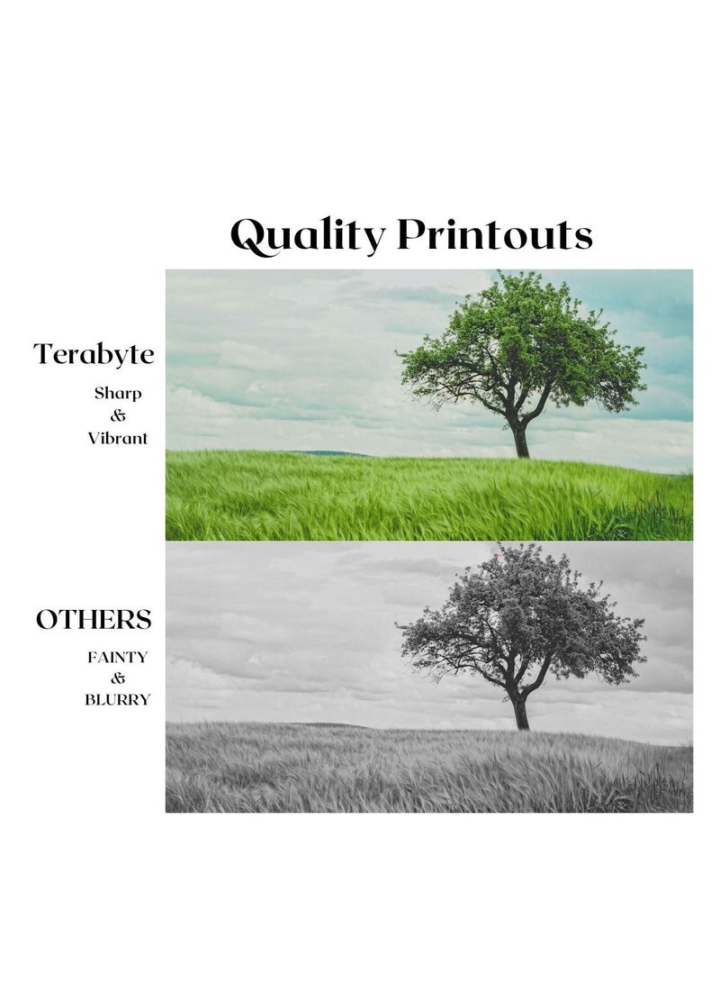 Terabyte TN750 COMPATIBLE TONER BLACK - Image 4