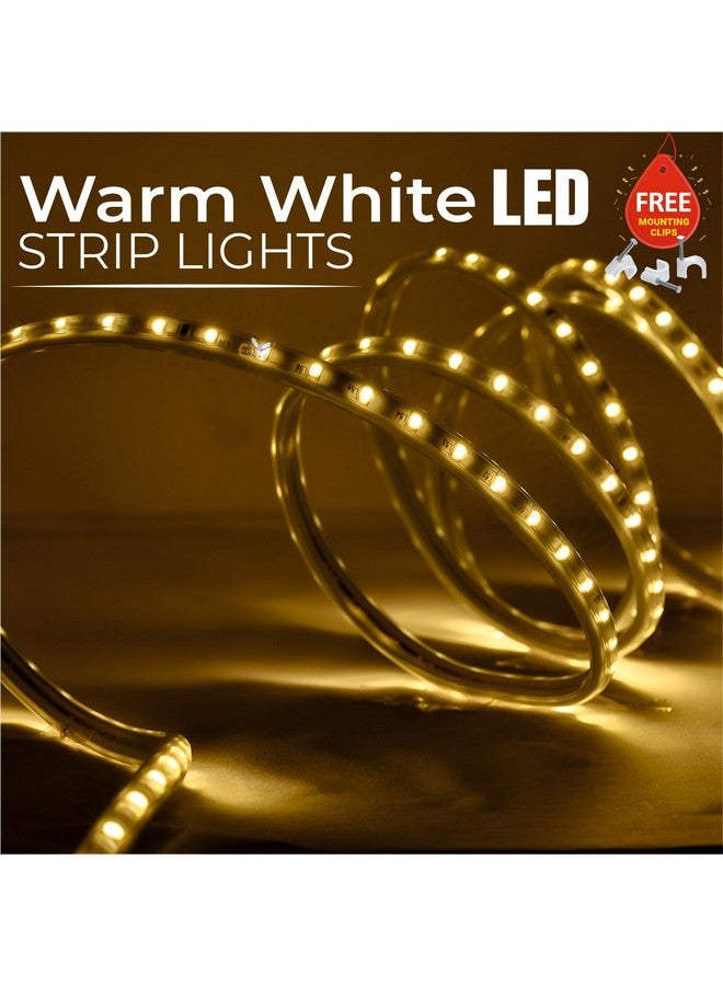 Errol Led Strip Lights | led Rope Light | Water Proof Strip Lights for Room | led Strip Light for Ceiling | Decorative | Home Decor Lights | Diwali Light (10 Meter,Warmwhite) - Image 2