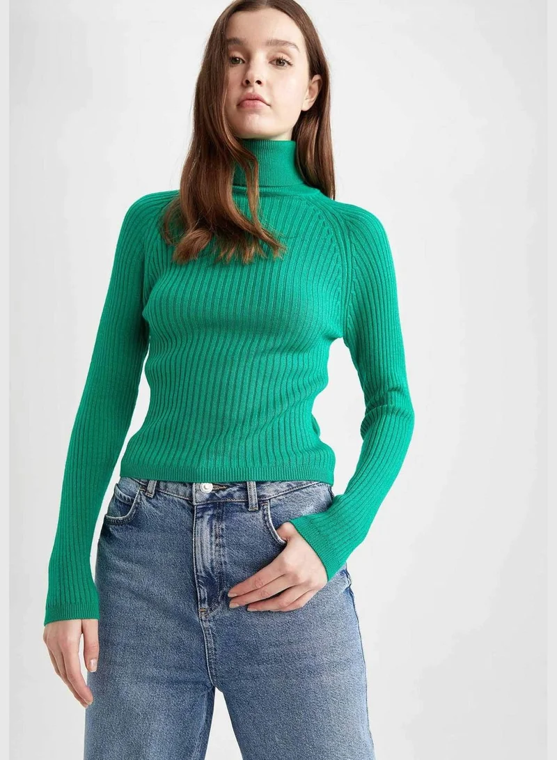 DeFacto Woman Turtle Neck Long Sleeve Tricot Pullover