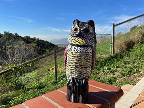 GiftExpress 16" Large Owl Decoy with Rotating Head – Realistic Garden Statue Bird & Squirrel Deterrent, Life-Size Predator Scarecrow for Outdoor Yard & Garden Protection - Image 5