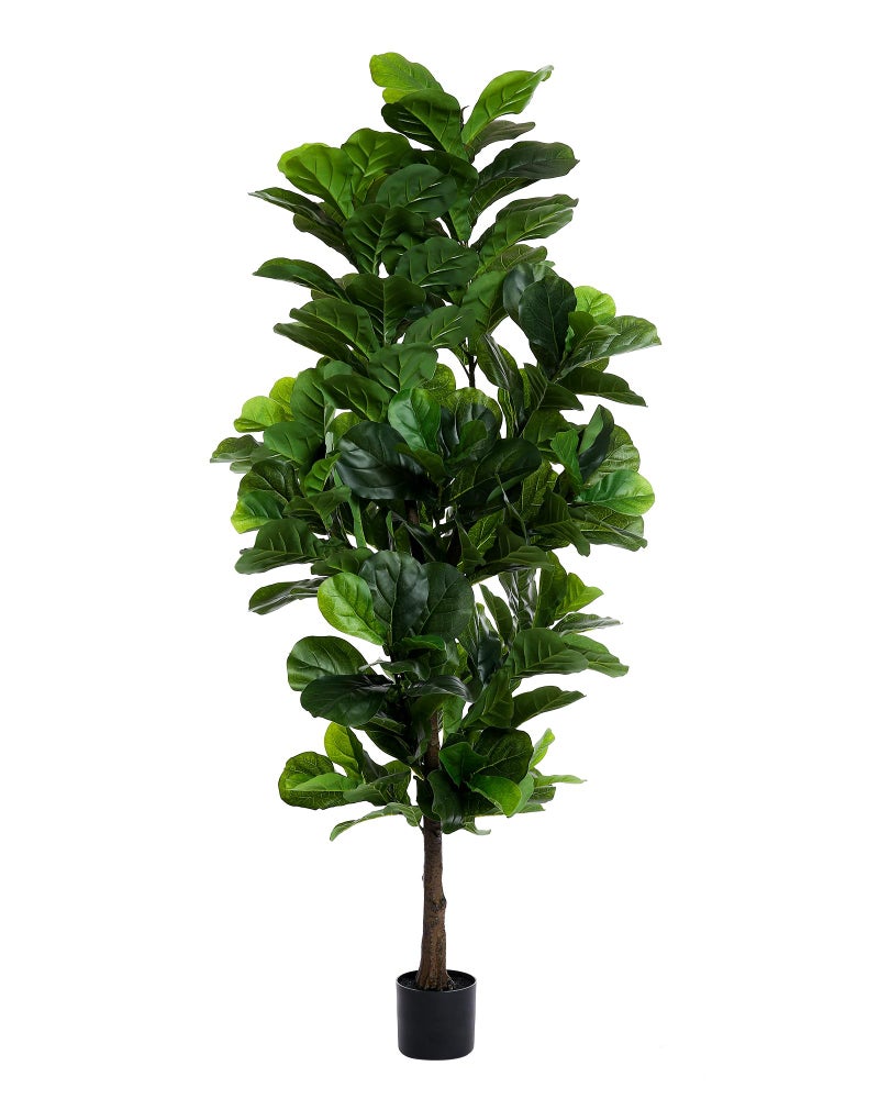 FLOWORLD Fiddle Leaf Fig Tree 6ft Tall Artificial Tree in Plastic Pot Fake Ficus Lyrata Plants with 184 Decorative Fiddle Leaves Faux Fig Trees for Home Office Living Room Decor Indoor Outdoor - Image 1