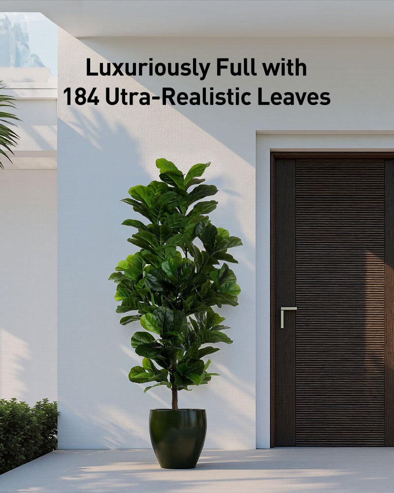 FLOWORLD Fiddle Leaf Fig Tree 6ft Tall Artificial Tree in Plastic Pot Fake Ficus Lyrata Plants with 184 Decorative Fiddle Leaves Faux Fig Trees for Home Office Living Room Decor Indoor Outdoor - Image 5