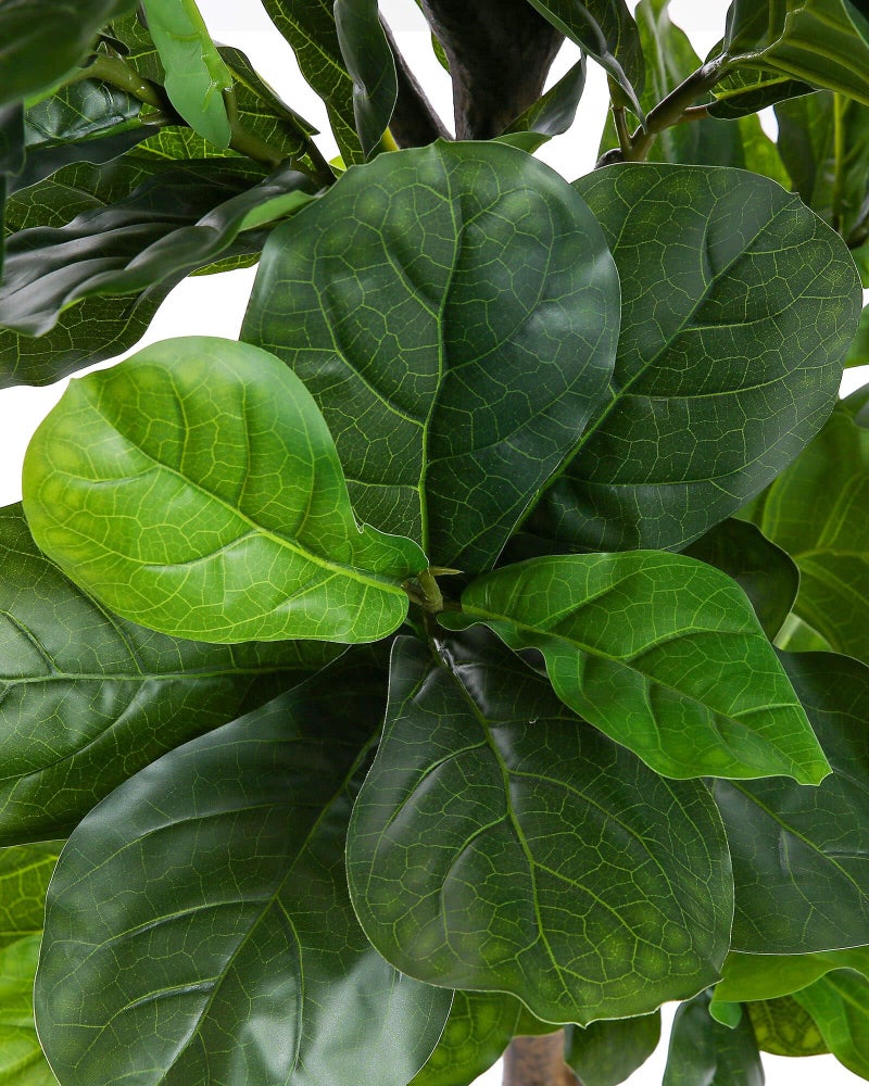 FLOWORLD Fiddle Leaf Fig Tree 6ft Tall Artificial Tree in Plastic Pot Fake Ficus Lyrata Plants with 184 Decorative Fiddle Leaves Faux Fig Trees for Home Office Living Room Decor Indoor Outdoor - Image 3