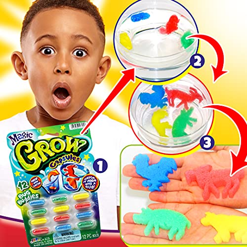 JA-RU Magic Grow Capsules for Kids (2 Pack, 24 Capsules Assorted) Water Growing Toys - Foam Sea Creatures, Dinosaurs, & Farm Animals, Science Party Favors & Classroom Prizes. 305-2s - Image 3