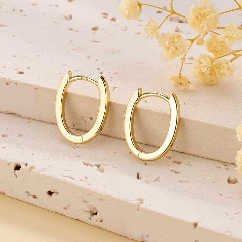 ALEXCRAFT 14K Gold Plated Earrings Sterling Silver Post Small Chunky Gold Hoop Earrings for Women Trendy Hypoallergenic Small Thick Huggie Hoops Earing Jewelry for Women - Image 2