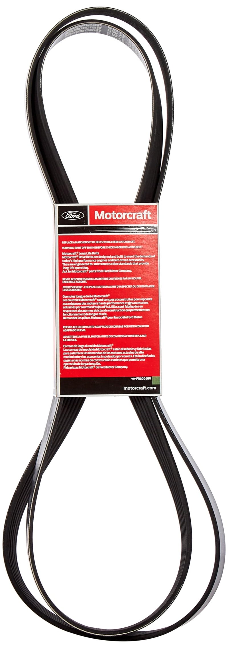 Motorcraft حزام القيادة موتوركرافت-JK6926 - Image 2