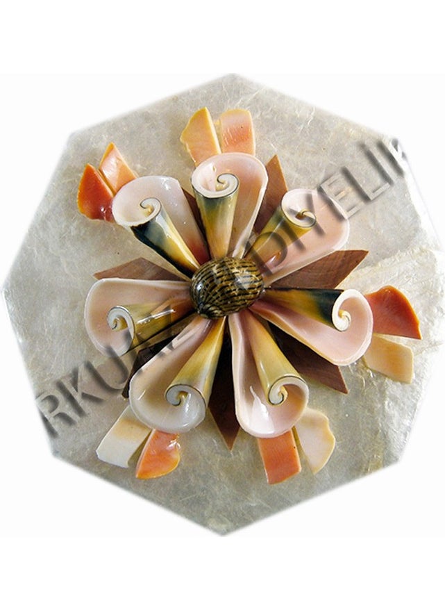evinizdeki okyanus esintisi turkuaz hediyelik Large Mother of Pearl Hexagon Box  - Image 1