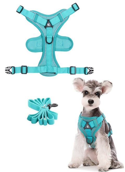 Breathable Dog and Cat Harness and Leash Set for small and medium pets, with Reflective Strips, Elastic and Buckle Dual Adjustment, Breathable and No choke