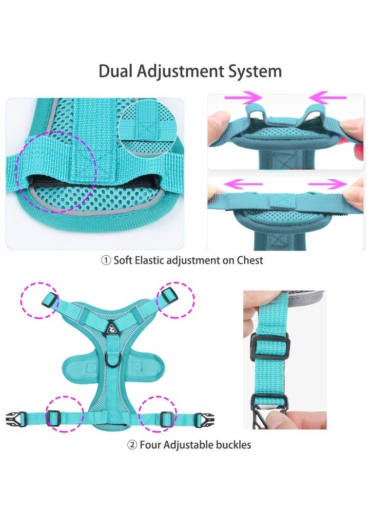 Breathable Dog and Cat Harness and Leash Set for small and medium pets, with Reflective Strips, Elastic and Buckle Dual Adjustment, Breathable and No choke