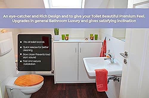J&V Textiles Round Toilet Seat With Easy Clean & Change Hinge (Burgundy)* - Image 5
