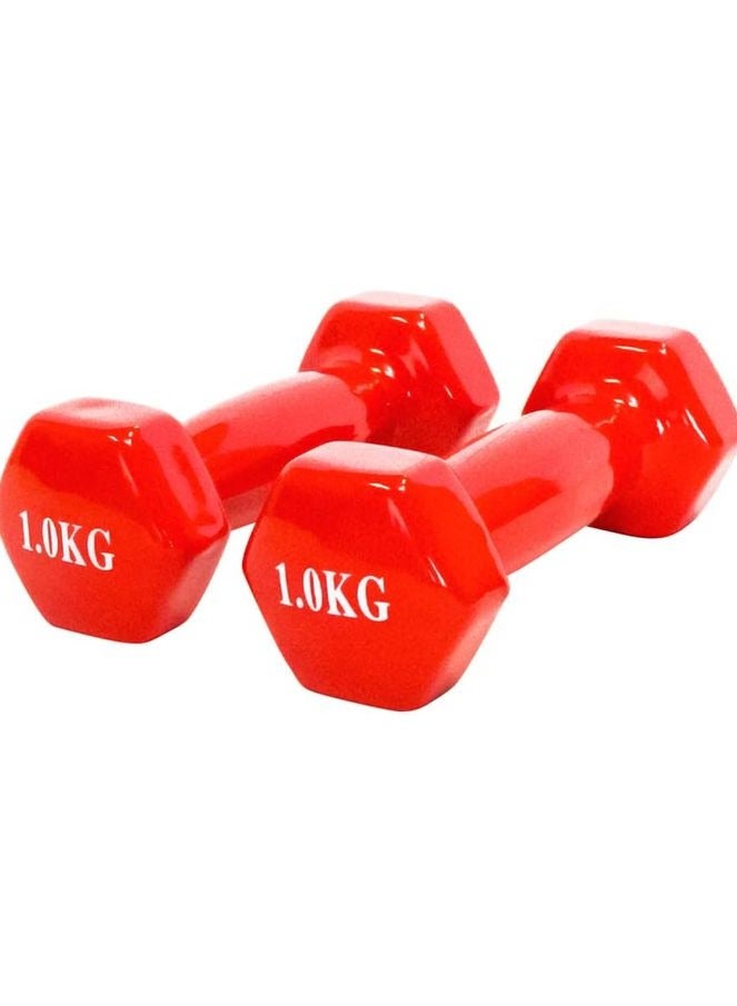 كيلو مجموعة دمبل من الفينيل ، من قطعتين - مقابض ناعمة - 1 كجم متعددالالوان - Image 1