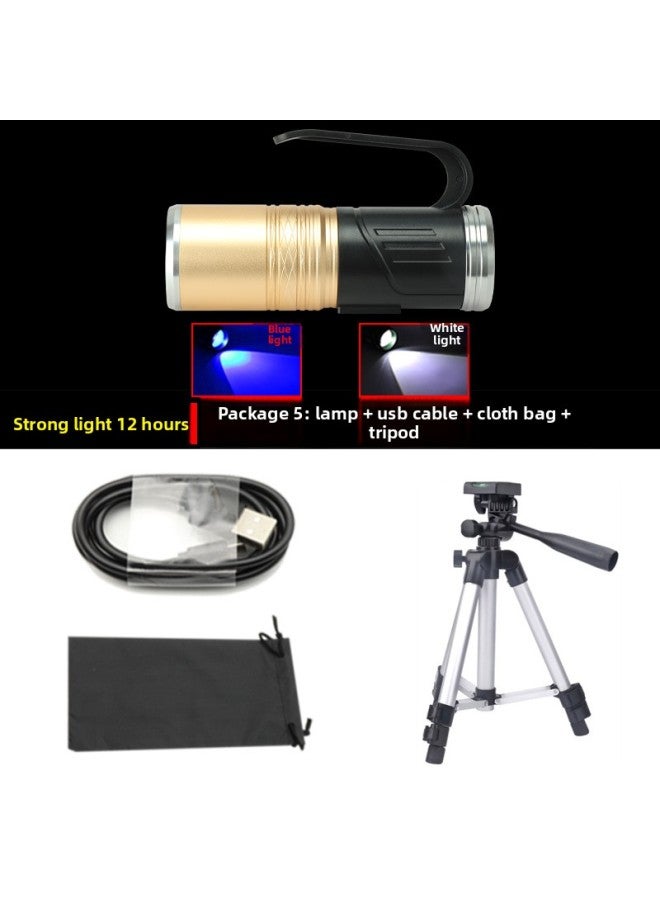 Highlight LED Night Fishing Lights Fishing Lights Blue Light Zoom Fishing Gear USB Strong Light Rechargeable Fish Flashlight-Color:2 Light Set 5: Lamp + Line + Bag + Tripod  - Image 1