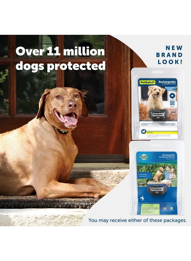 PetSafe Rechargeable In-Ground Pet Fence Receiver Collar for Cats and Dogs, Waterproof with Tone and Static Correction, Fits Pets 5 lbs and Up from The Parent Company of The Invisible Fence Brand - Image 1