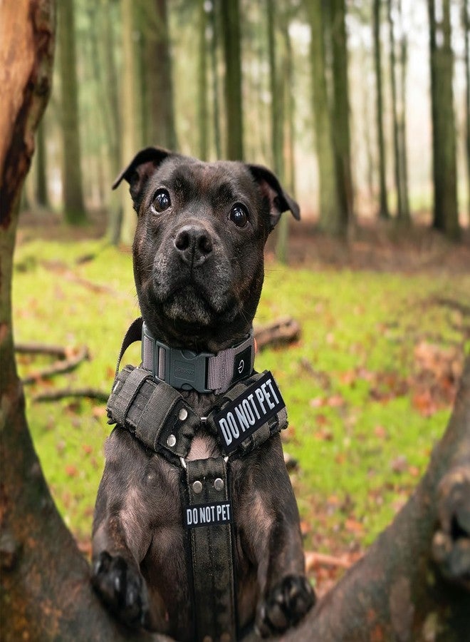 ZESION 4 Pcs Do Not Pet Patch, Tactical Dog Patch, Removable Embroidered Hook and Loop Patch for Dog Vest Carrier and Vest Harness - Image 4