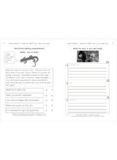 Phonic Books Dandelion Readers Reading and Spelling Activities Vowel Spellings Level 4: Alternative vowel and consonant spellings, and Latin suffixes  - Image 3