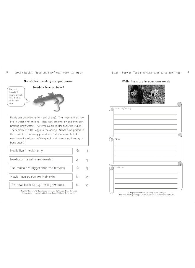 Phonic Books Dandelion Readers Reading and Spelling Activities Vowel Spellings Level 4: Alternative vowel and consonant spellings, and Latin suffixes  - Image 3
