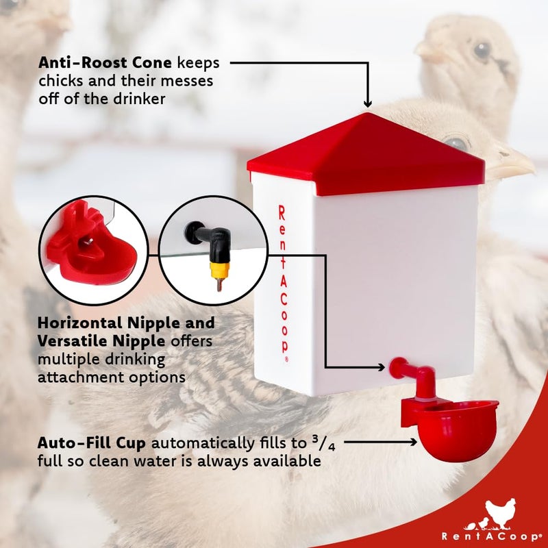 RentACoop 2.5 Pound Chick2Chicken Medium Port Feeder and 64 Ounce (2 Liter) Drinker Set for Chicks, Chickens, Quail, and Other Small Birds - Image 5