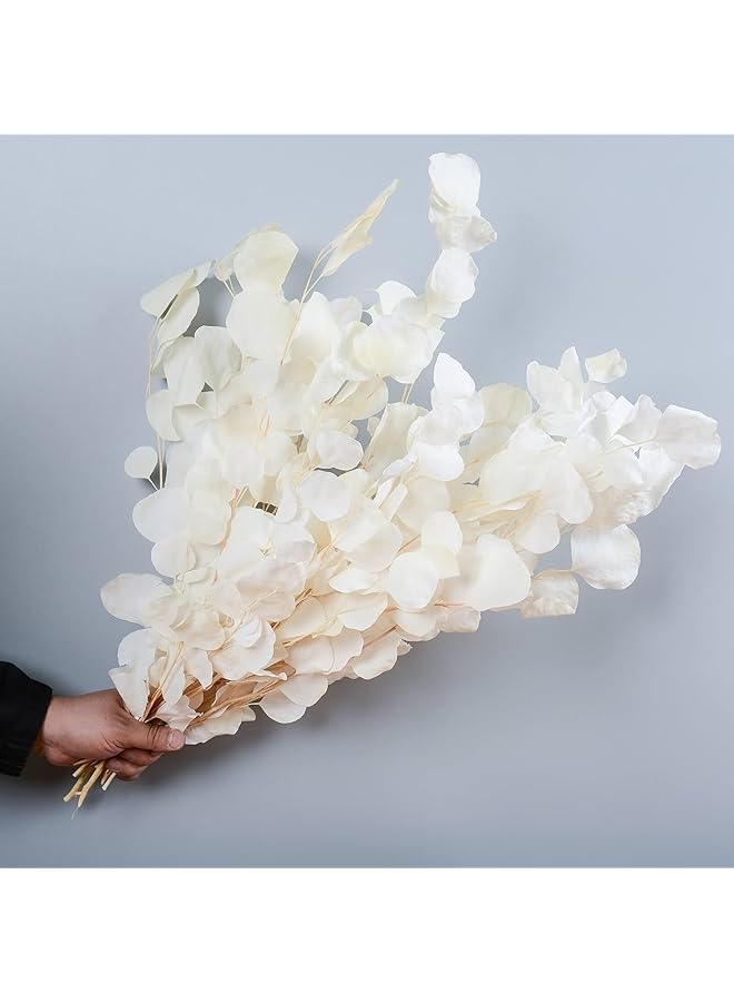 erorex Artificial Eucalyptus Leaf Stems Fake Silver Dollar Eucalyptus Leaf Branches Real Creamy White Flowers Natural Fresh Green Plant Decoration Suitable For Home Party Wedding Decoration - Image 1