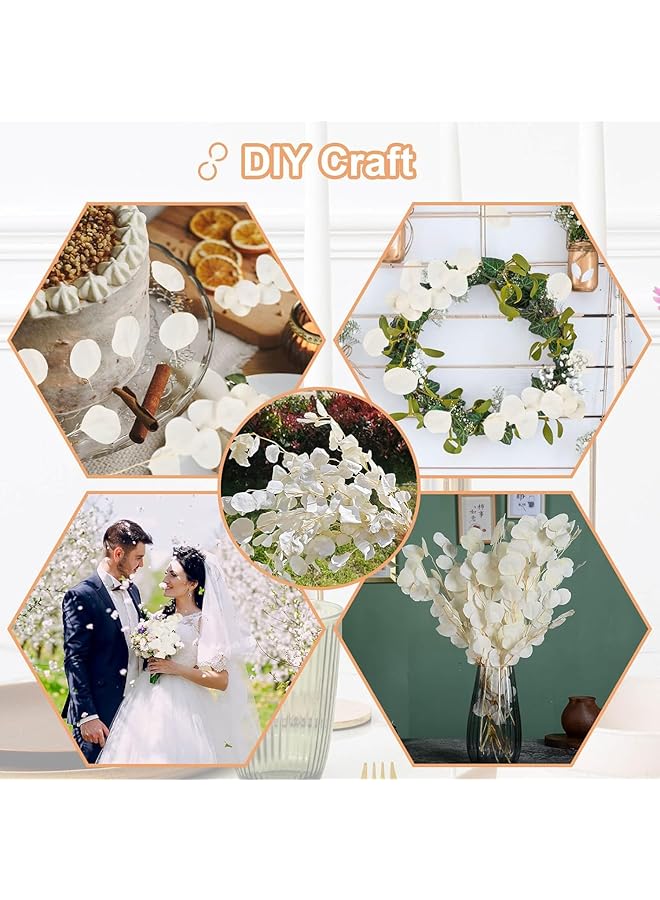 erorex Artificial Eucalyptus Leaf Stems Fake Silver Dollar Eucalyptus Leaf Branches Real Creamy White Flowers Natural Fresh Green Plant Decoration Suitable For Home Party Wedding Decoration - Image 5