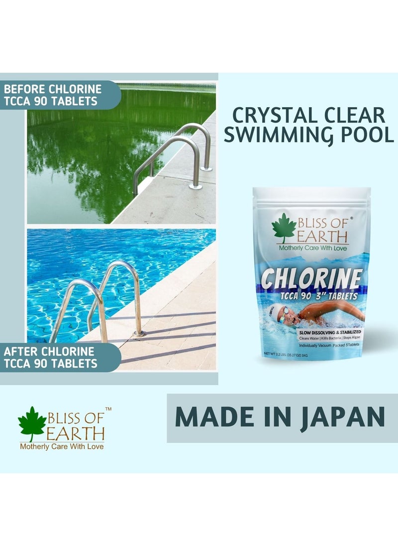 Bliss of Earth Japanese Chlorine Tablets Size for Clean & Clear Swimming Pool Kills Bacteria & Stops Algae Pool Disinfectant 10 Chlorine Tablets 10x200gm - pzsku/Z8BAEF0950318E3DACABAZ/45/_/1660911818/f5225d87-8770-4660-a329-7ea417a51726