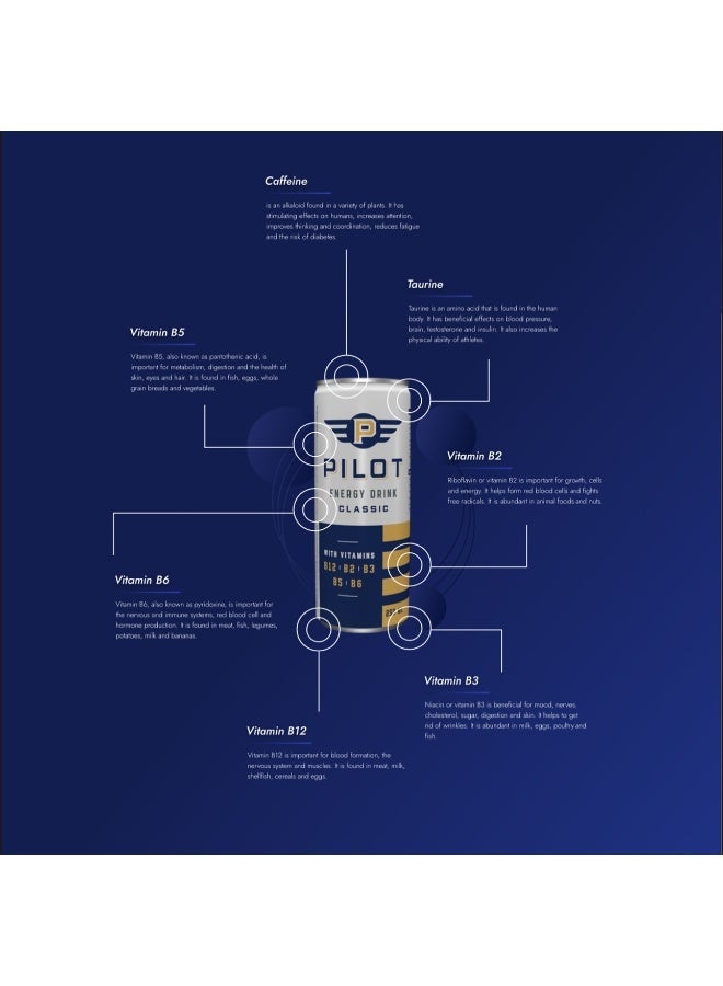 PILOT Energy Drink Energy Drink – Classic 250 ml Pack of 4 Cans - Image 5