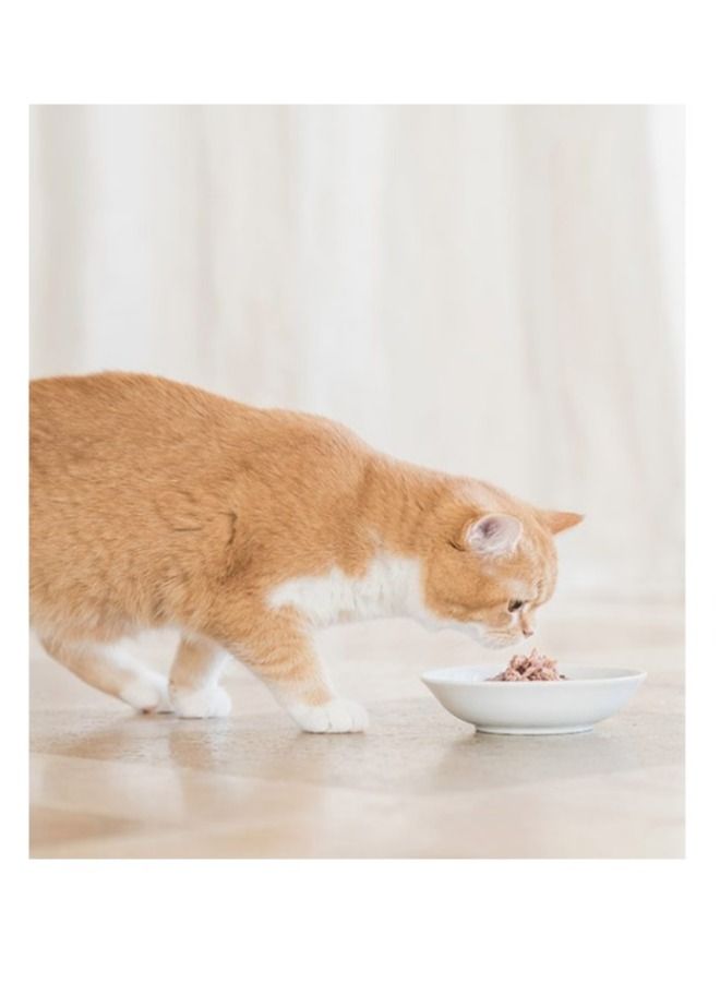 Schesir Complete & Balanced Nutrition Wet Cat Food in Jelly Pouch- Tuna 85g - Image 4