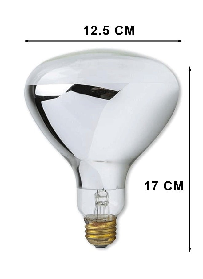 Sparkle - Sparkle Pool Lamp 12V 300W R40 E27 Modal Lamp - Image 1