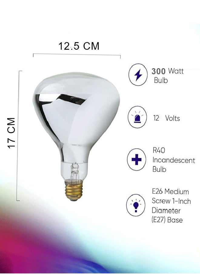Sparkle - Sparkle Pool Lamp 12V 300W R40 E27 Modal Lamp - Image 1
