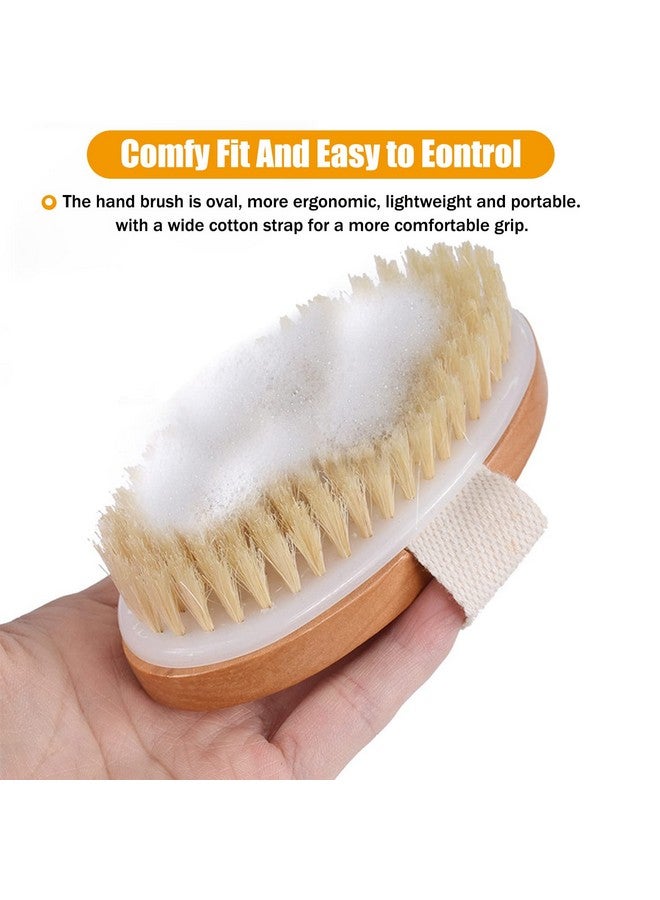 MODENGKONGJIAN Dry Brushing Body Brush 2 Pcs Natural Bristle Dry Skin Exfoliating Brush Body Scrub To Removes Cellulite & Dead Skin Improves Lymphatic Functions Stimulates Blood Circulation Tightens Skin - Image 5