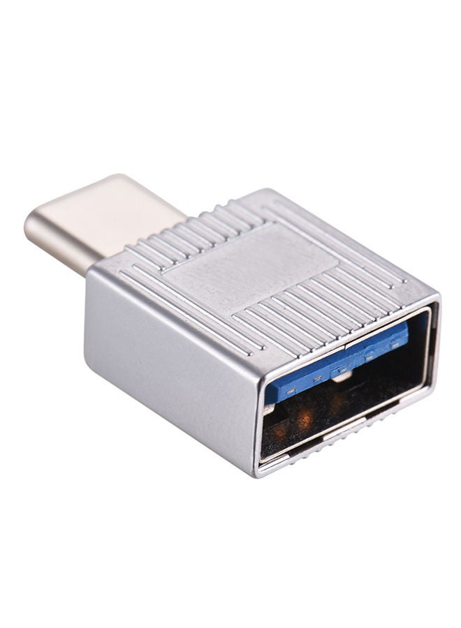 NIBEMINENT USB Type-C Converter Adapter Silver - Image 1