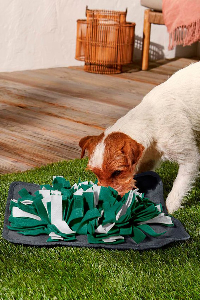 Tchibo حصيرة تنبيه الكلاب، خضراء - Image 1