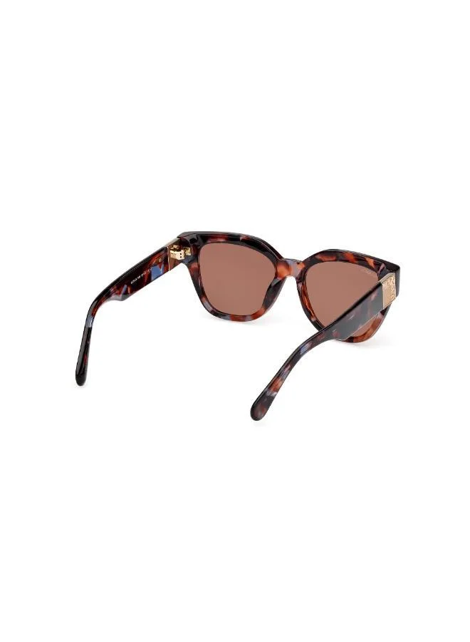 MAXCO  wayfarers sunglasses for Women | Best Price UAE